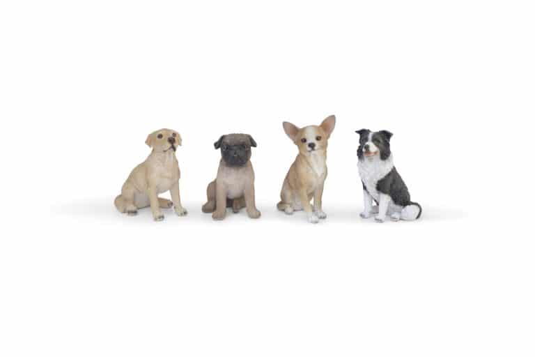 4 mini chiens