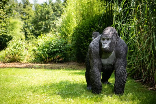 Statue jardin réaliste gorille et bébé de face dans jardin